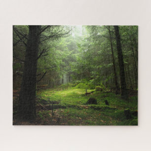 Forests   Auvergne France Jigsaw Puzzle
