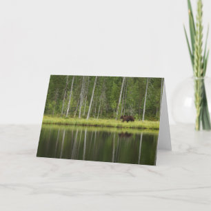 Forests   Bear at Taiga Forest Northern Finland Card