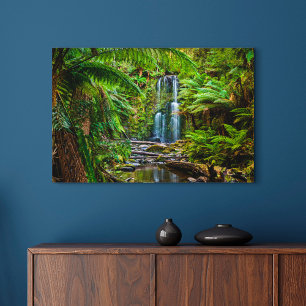 Forests   Beauchamp Falls Australia Canvas Print