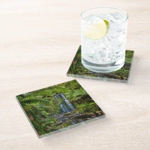 Forests Beauchamp Falls Australia Glass Coaster