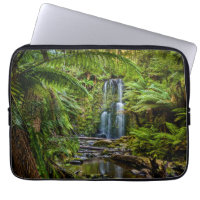 Forests | Beauchamp Falls Australia