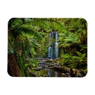 Forests | Beauchamp Falls Australia Magnet