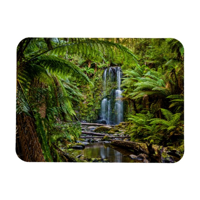 Forests | Beauchamp Falls Australia Magnet (Horizontal)