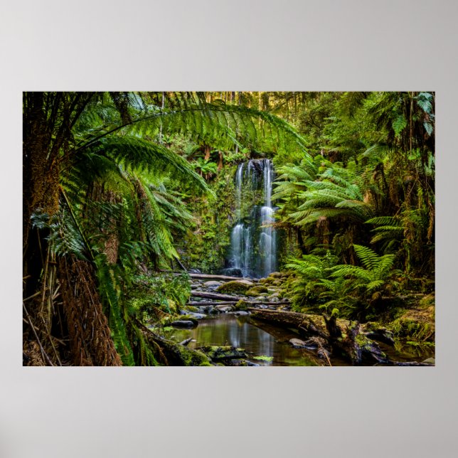 Forests | Beauchamp Falls Australia Poster (Front)