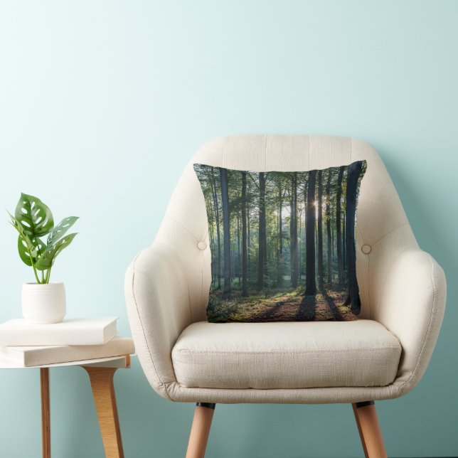 Forests | Black Forest Germany Cushion (Chair)