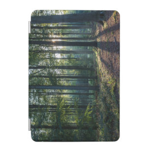 Forests   Black Forest Germany iPad Mini Cover