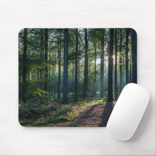 Forests Black Forest Germany Mouse Pad