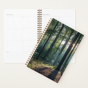 Forests Black Forest Germany Planner