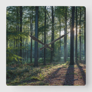 Forests Black Forest Germany Square Wall Clock