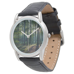 Forests   Black Forest Germany Watch