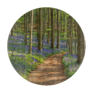 Forests   Bluebell Forest in Belgium Cutting Board