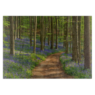 Forests   Bluebell Forest in Belgium Cutting Board