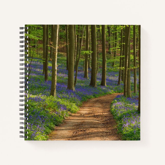 Forests | Bluebell Forest in Belgium Notebook (Front)