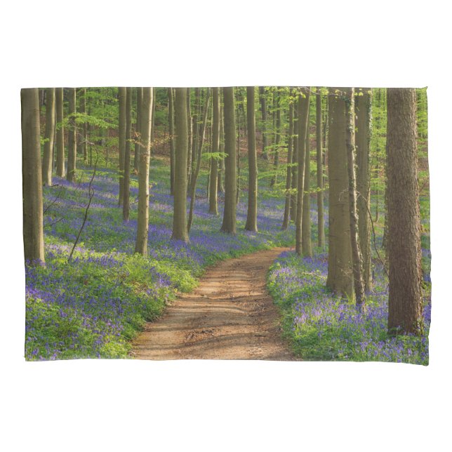 Forests | Bluebell Forest in Belgium Pillowcase (Front)