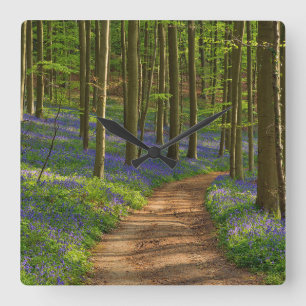 Forests Bluebell Forest in Belgium Square Wall Clock