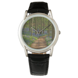 Forests Bluebell Forest in Belgium Watch