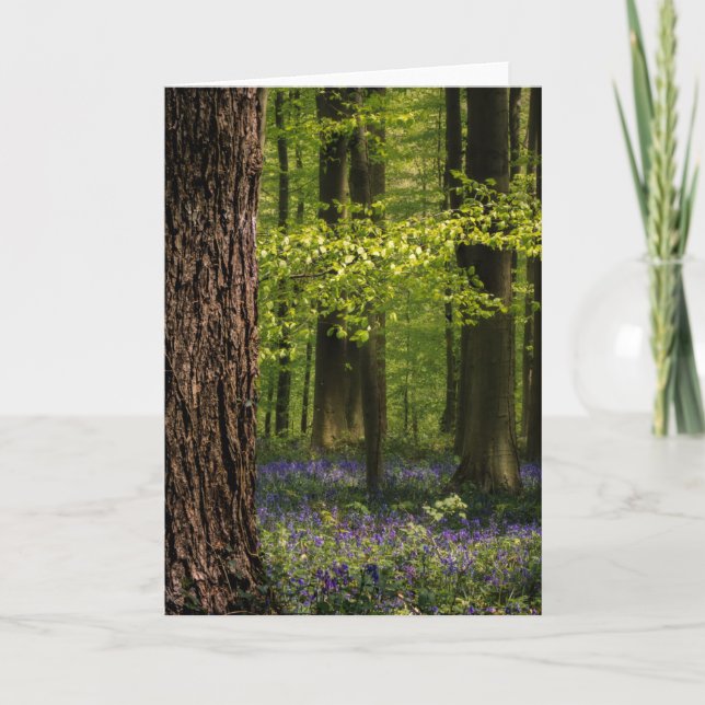 Forests | Bluebells in Belgium Card (Front)