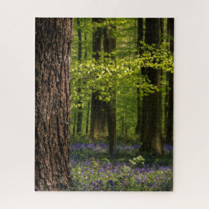 Forests   Bluebells in Belgium Jigsaw Puzzle