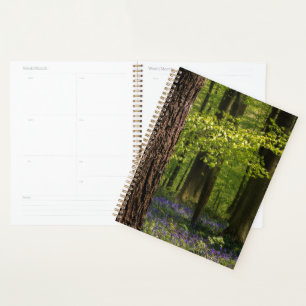 Forests   Bluebells in Belgium Planner