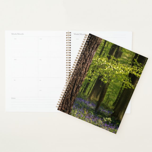 Forests | Bluebells in Belgium Planner (Display)