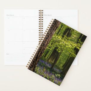 Forests   Bluebells in Belgium Planner