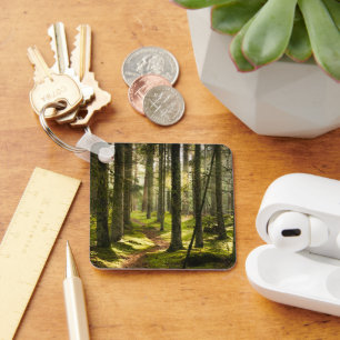 Forests Boreal Forest Sweden Key Ring