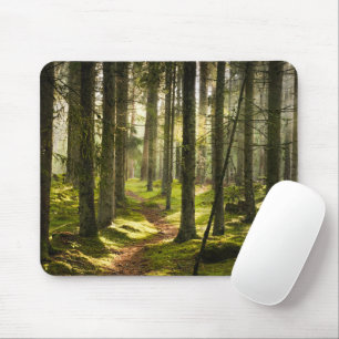 Forests Boreal Forest Sweden Mouse Pad