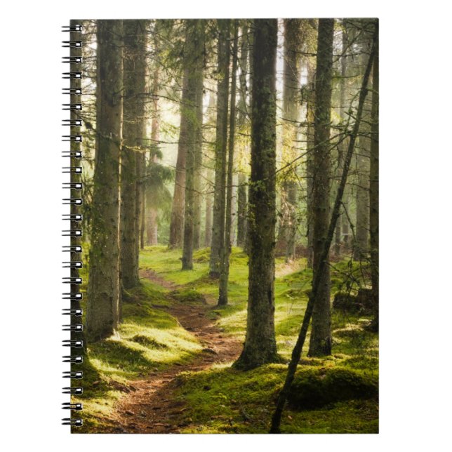 Forests | Boreal Forest Sweden Notebook (Front)