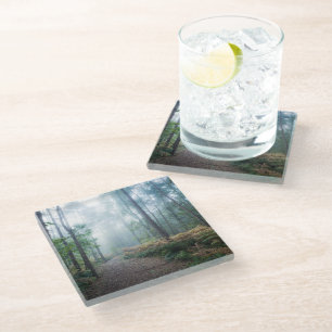 Forests Dark Foggy Woods Norfolk UK Glass Coaster