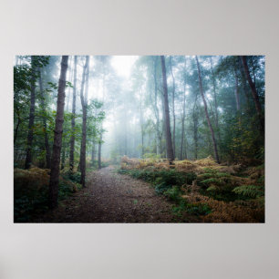 Forests Dark Foggy Woods Norfolk UK Poster
