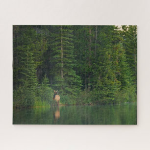 Forests   Elk at Banff National Park Alberta Jigsaw Puzzle