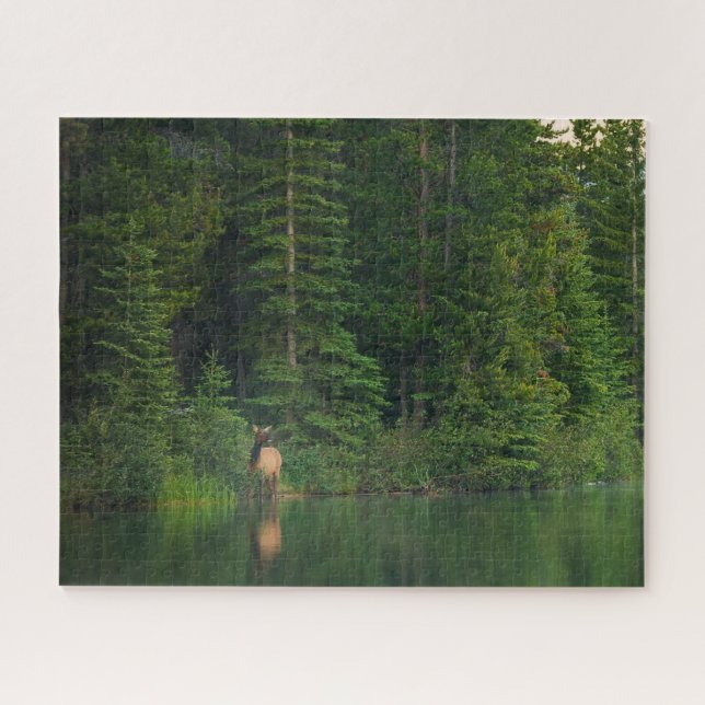Forests | Elk at Banff National Park Alberta Jigsaw Puzzle (Horizontal)