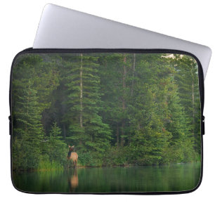 Forests Elk at Banff National Park Alberta Laptop Sleeve