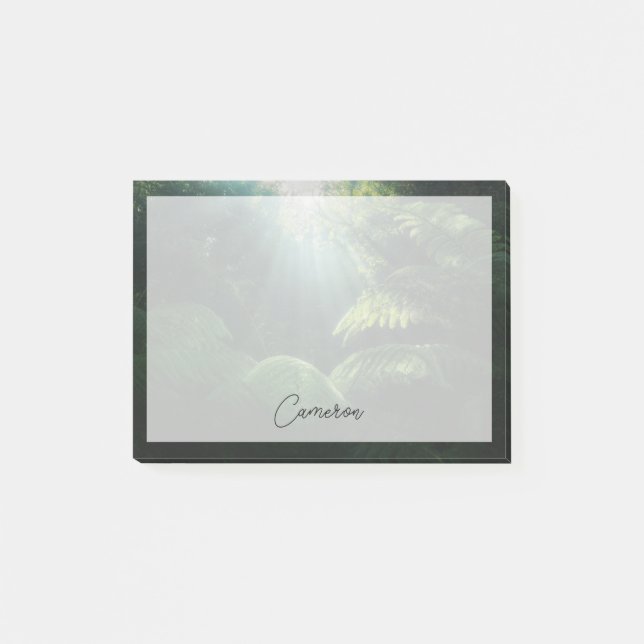 Forests | Ferns in Rainforest Post-it Notes (Front)