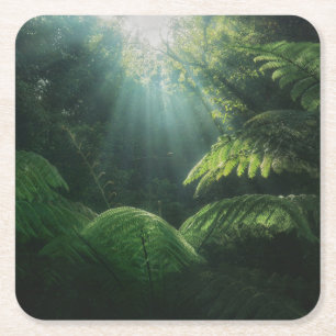Forests Ferns in Rainforest Square Paper Coaster