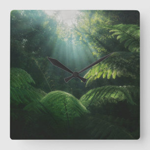 Forests Ferns in Rainforest Square Wall Clock