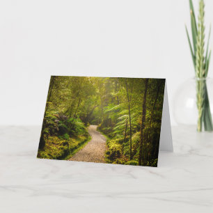 Forests Footpath Into Forest Card