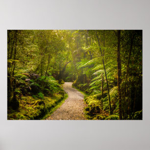 Forests   Footpath Into Forest Poster