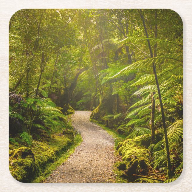 Forests | Footpath Into Forest Square Paper Coaster (Front)