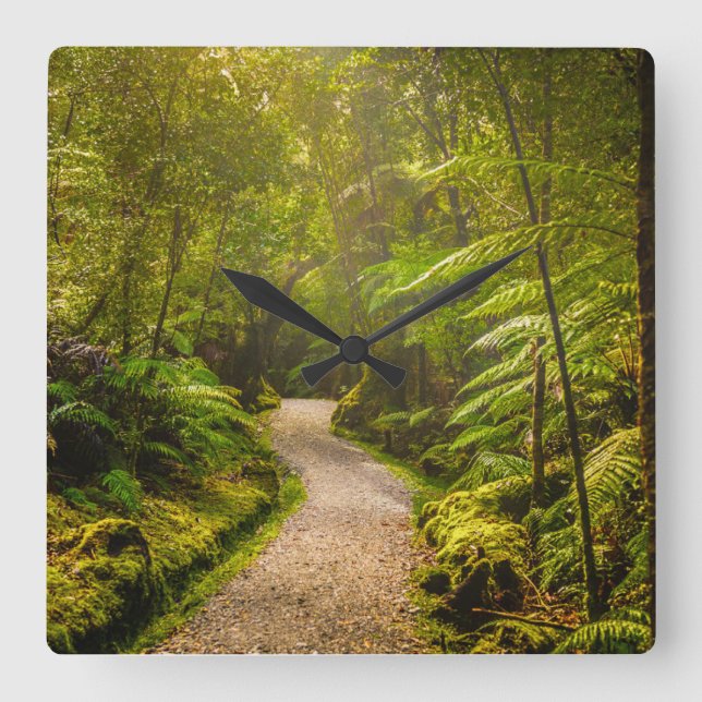 Forests | Footpath Into Forest Square Wall Clock (Front)