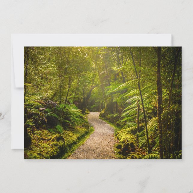 Forests | Footpath Into Forest Thank You Card (Front)