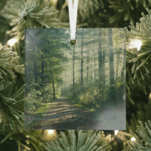 Forests   Forest Path Hamburg Germany Glass Tree Decoration