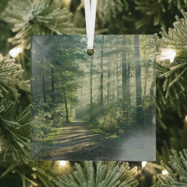 Forests | Forest Path Hamburg Germany Glass Tree Decoration (Insitu)