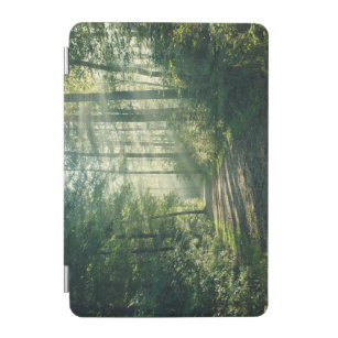 Forests   Forest Path Hamburg Germany iPad Mini Cover