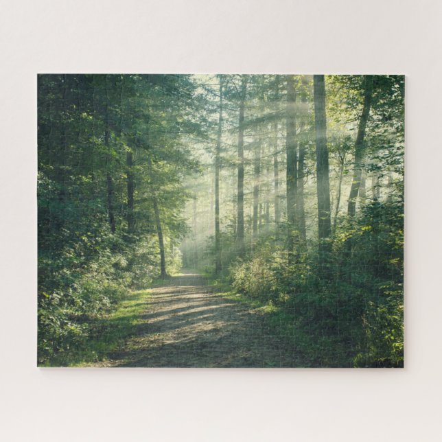 Forests | Forest Path Hamburg Germany Jigsaw Puzzle (Horizontal)