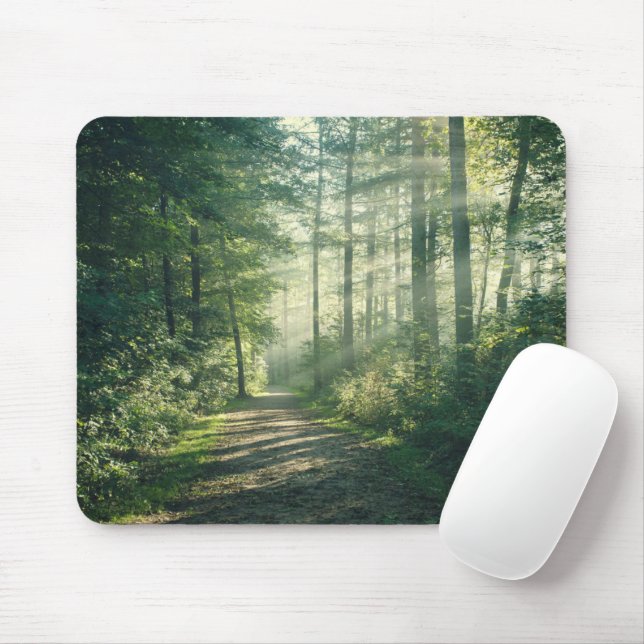 Forests | Forest Path Hamburg Germany Mouse Pad (With Mouse)