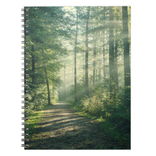 Forests Forest Path Hamburg Germany Notebook