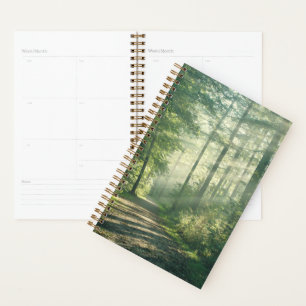 Forests Forest Path Hamburg Germany Planner