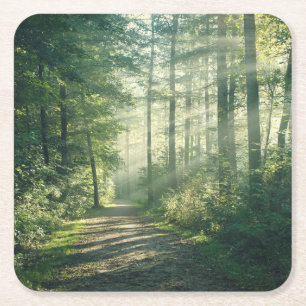 Forests Forest Path Hamburg Germany Square Paper Coaster