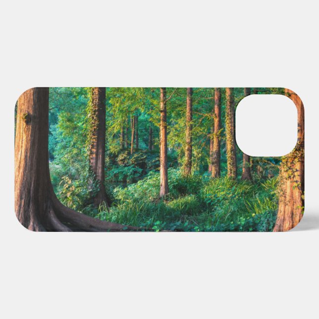 Forests | Greenery & Woodland iPhone Case (Back Horizontal)